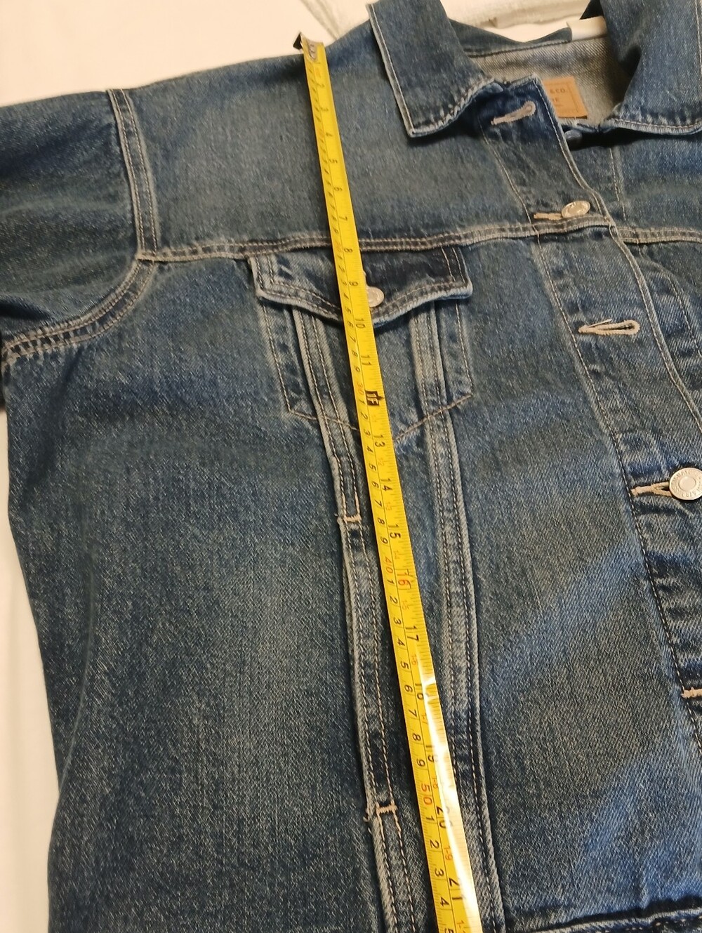 Levi Strauss & Co. Signature